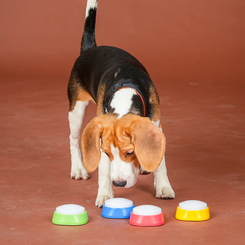 55_d68cae89-d414-40c4-8fb9-ed2ebb8c0fd5