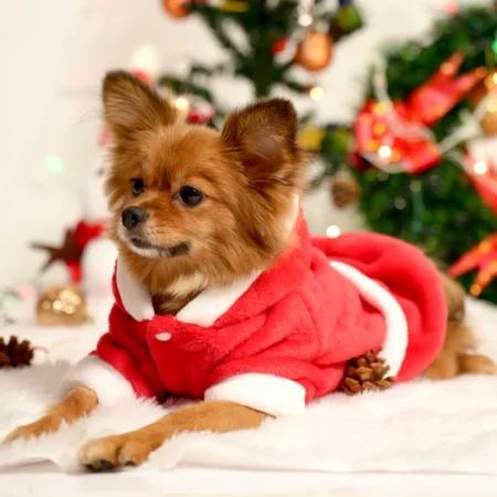 Santa Claus Fleece Hoodie|India Pet Store