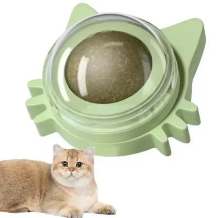 Catnip Lickable Ball – Engaging Fun for Your Cat- India Pet Store