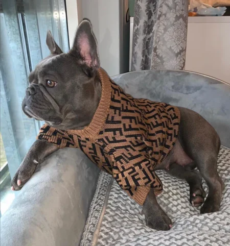 FF Brown Printed Sweater- India Pet Store