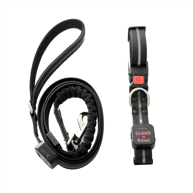 LED Light Collar & Leash Set (PVC Coated) black