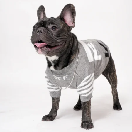 OFF-White Woolen Sweater- India Pet Store