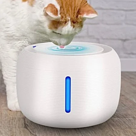 Smart Sensor Automatic Water Dispenser|India Pet Store