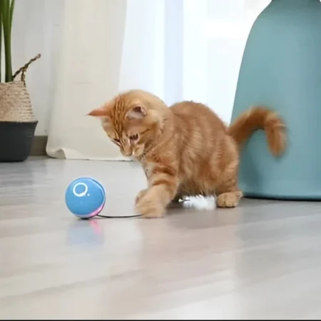 LED Smart Gravitational Rotating Ball – Ultimate Play for Cats- India Pet Store