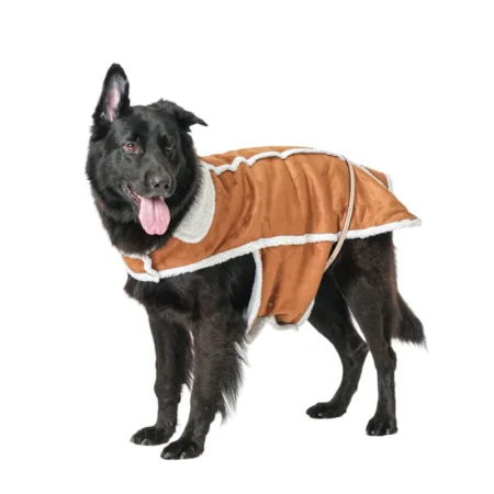 Premium Suede Jacket with Teddy Fur for Dogs – Warm & Stylish Pet Outerwear|India Pet Store