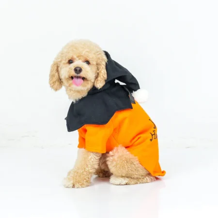 Pumpkin Halloween Dog Costume – Cute Dog Clothes | Multiple Sizes & Colours | India Pet Store