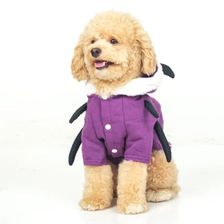 Spider Halloween Dog Hoodie – Cute Dog Clothes | Multiple Sizes & Colours | India Pet Store