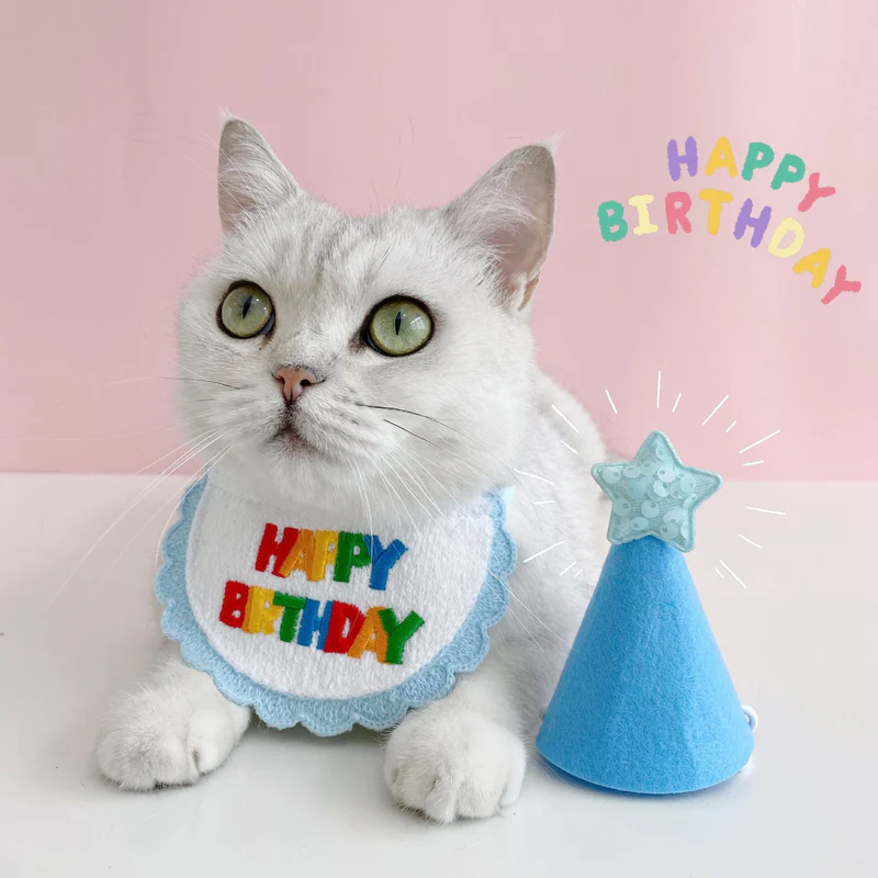 1_faba2d70-67d0-47cd-a657-dfd174a5e7f6 (1)