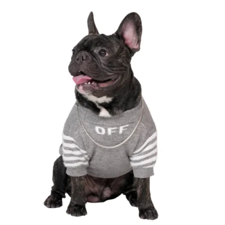 OFF-White Woolen Sweater for Dogs – Warm & Stylish Pet Clothing | India Pet Store