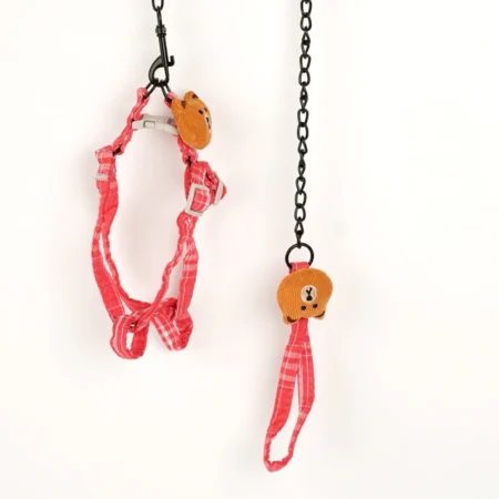 Teddy Bear Leash and Harness Set for Pets – Cute & Comfortable | India Pet Store