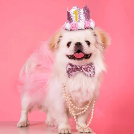 Pet Birthday Crown & Bow Tie Set – Cute Party Accessories for Dogs & Cats|India Pet Store