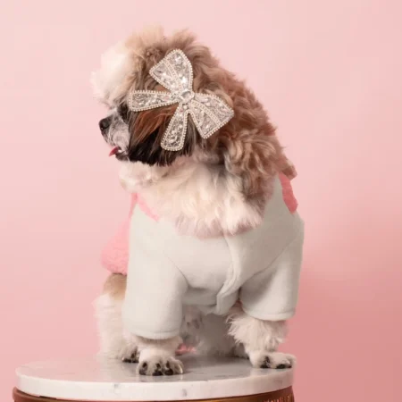 Teddy Fur Sweatshirt with Pocket for Dogs – Soft & Cozy Pet Clothing|India Pet Store