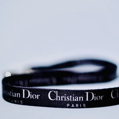 Black CHRISTIAN DIOR Harness and Leash Set for Dogs – Luxury Pet Accessories|India Pet Store