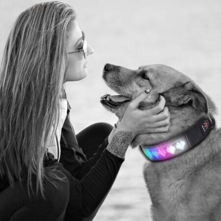 App-Controlled DIY Message Pet Light Collar – LED Display Smart Collar for Pets|India Pet Store