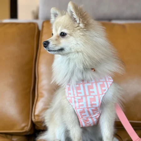 Printed Leash and Harness Set (Peach) for Dogs – Stylish Pet Walking Set | India Pet Store