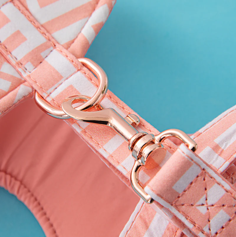 Screenshot2024-01-28at11.45.24