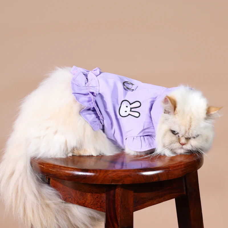 Screenshot2024-03-27at20.44.10